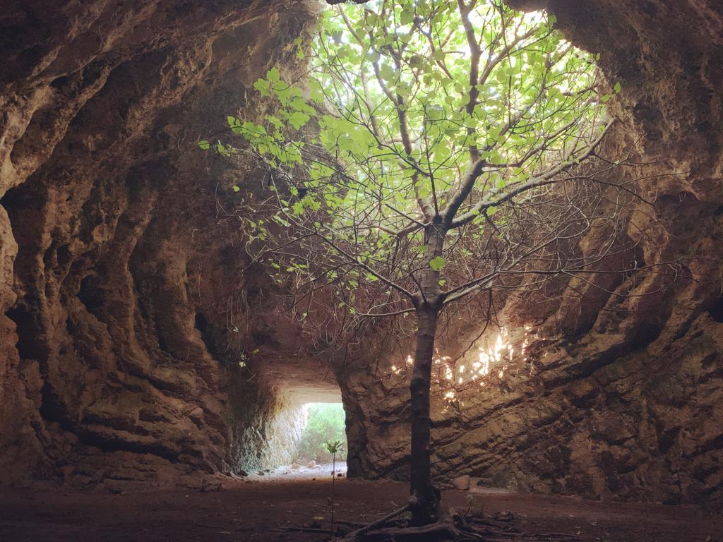 secret cove monopoli