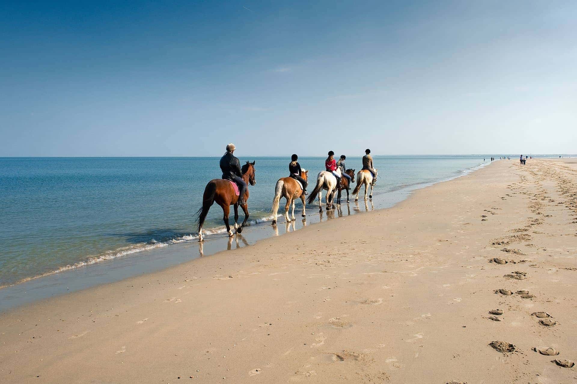 horse riding puglia for kid