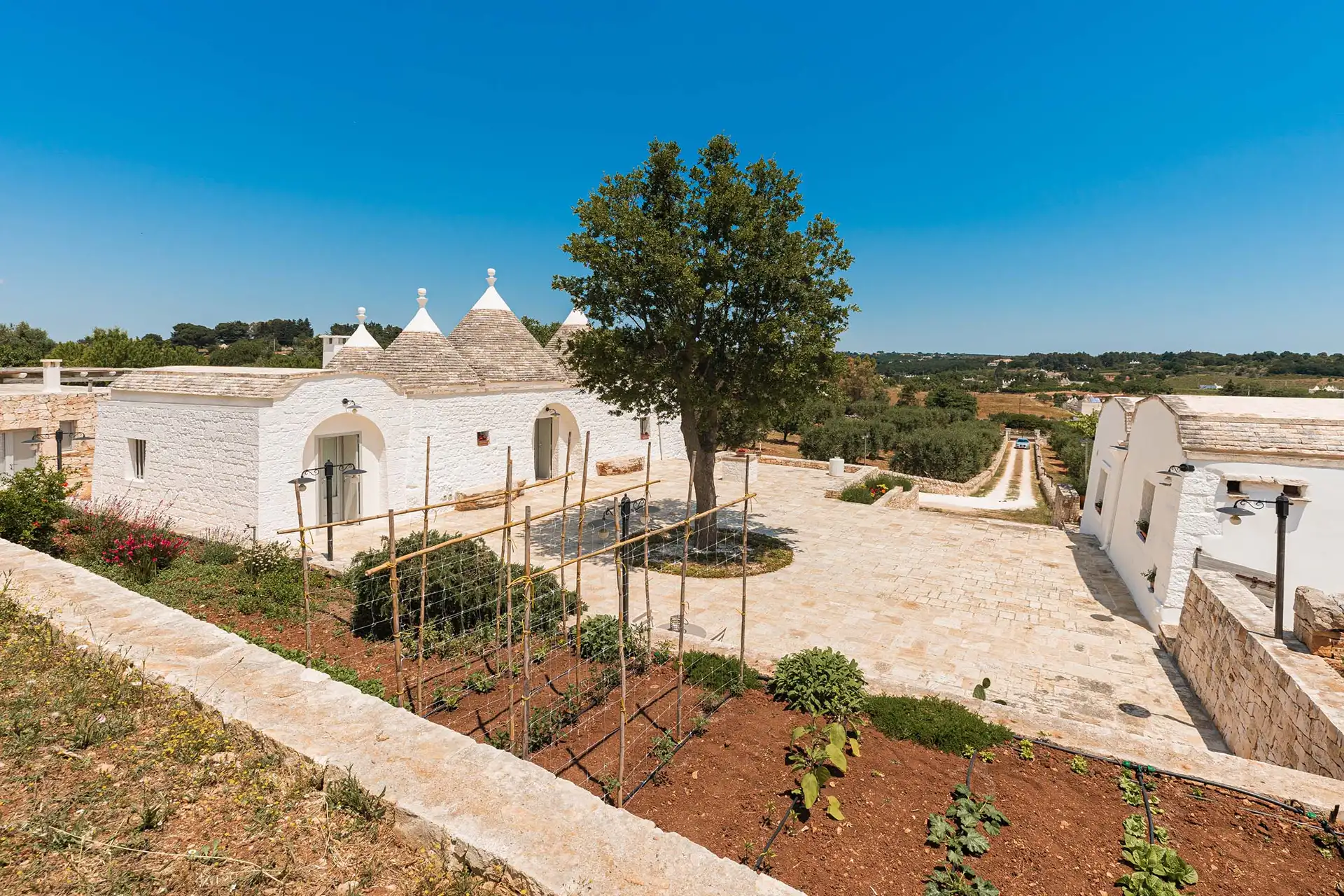Giardino privato con verdura fresca per gli ospiti